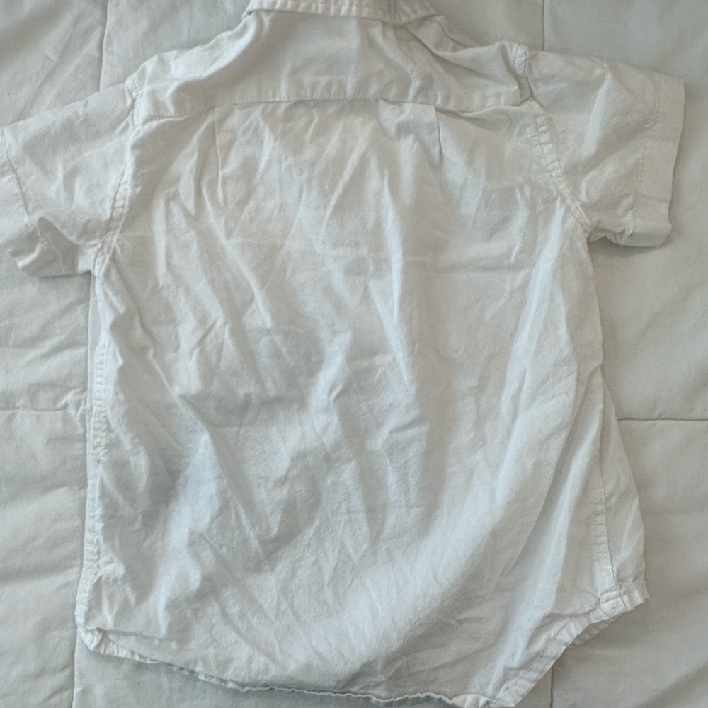 Crew cuts button down